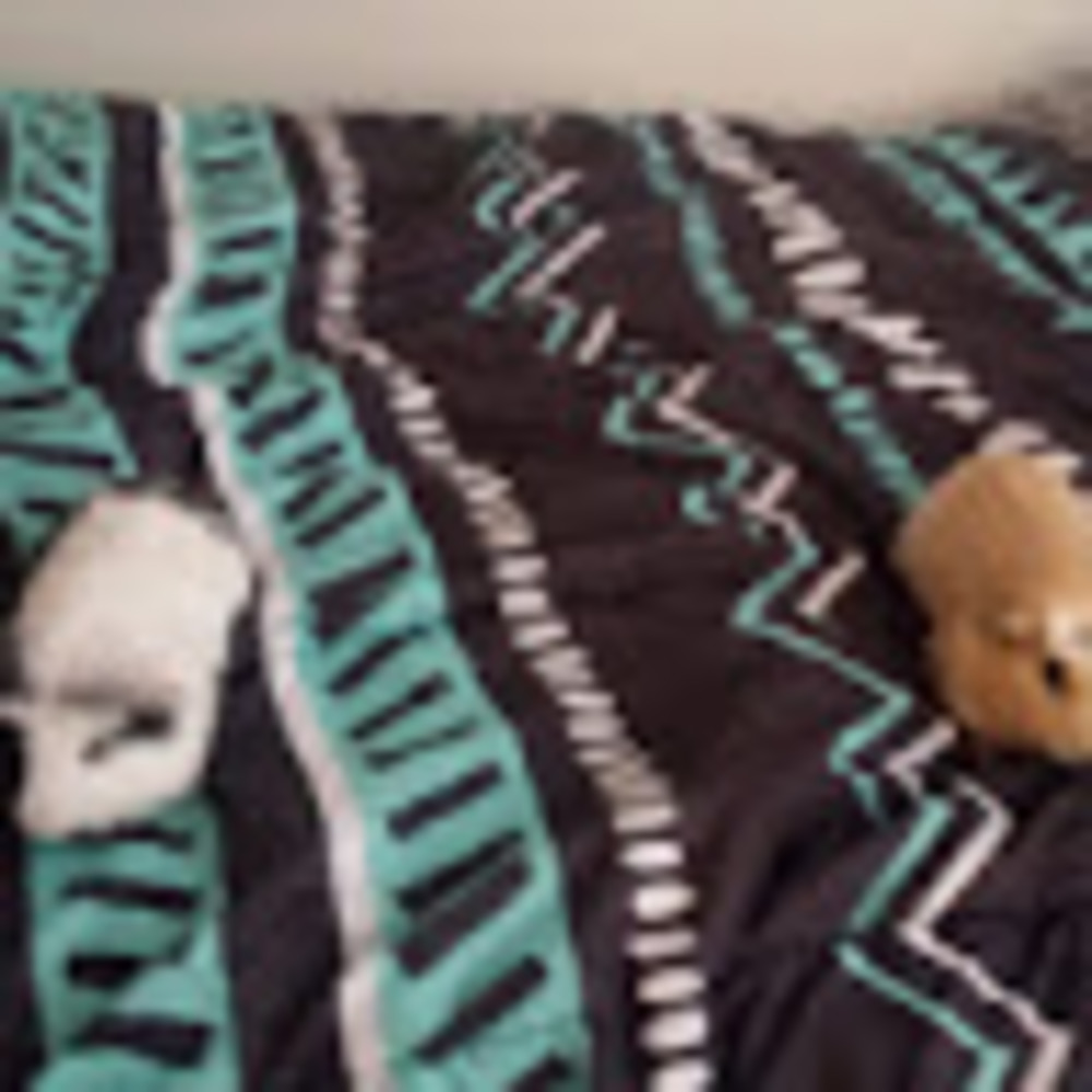 Meet your Posher, Alyssa